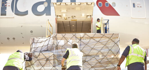 Airspace failures put digital supply-chain resilience to the test